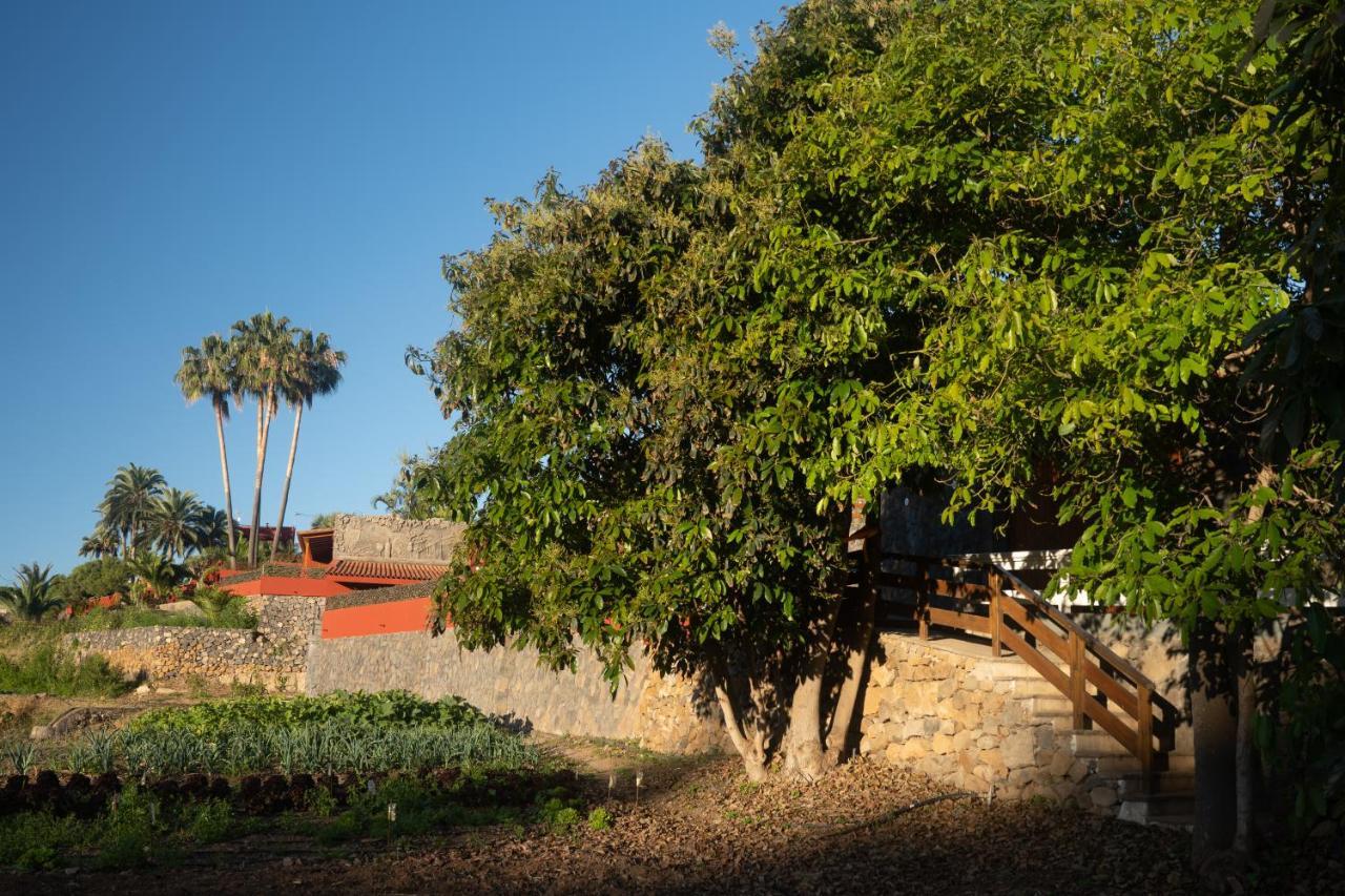 Finca Pico Λος Ρεαλέχος Εξωτερικό φωτογραφία