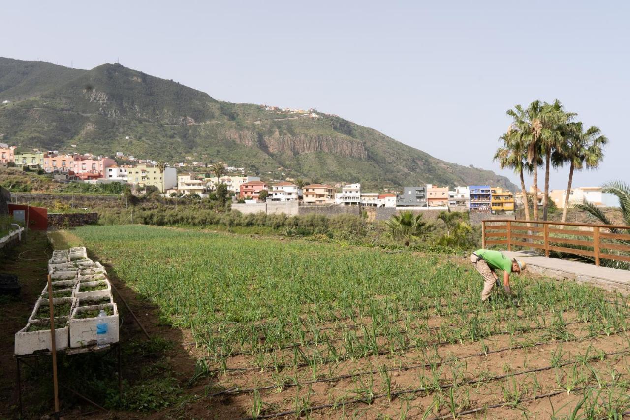 Finca Pico Λος Ρεαλέχος Εξωτερικό φωτογραφία