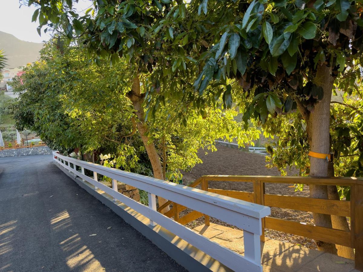 Finca Pico Λος Ρεαλέχος Εξωτερικό φωτογραφία