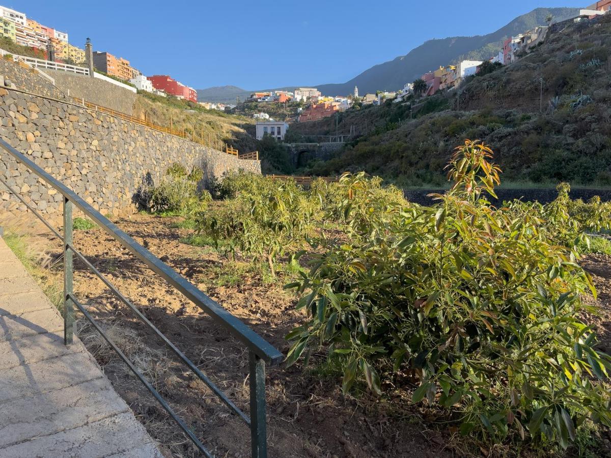 Finca Pico Λος Ρεαλέχος Εξωτερικό φωτογραφία